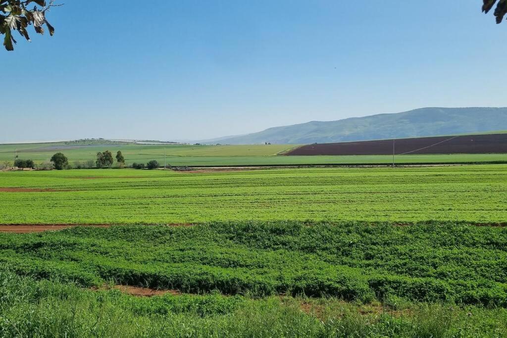 Ferienwohnung וילה במושב בנוף מושלם כל השנה Moledet Exterior foto